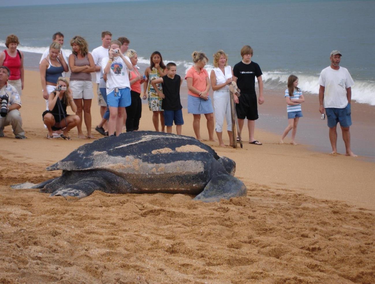 DOCUME~1_Page_01_Page_06_Image_0001